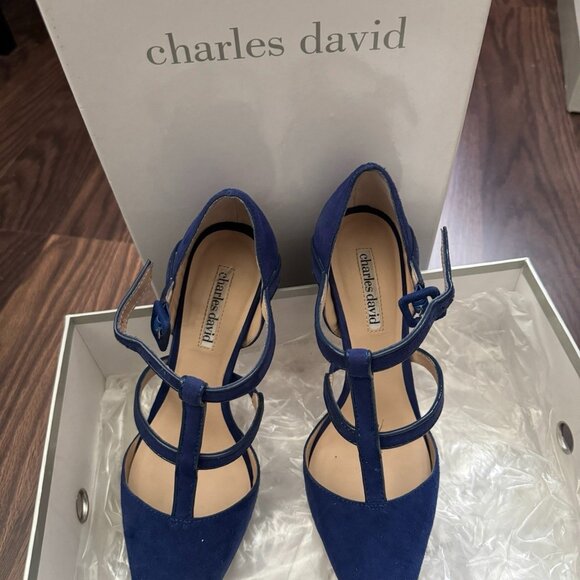 CHARLES DAVID Shoes - Charles David Women's Stiletto Heels Royal Blue